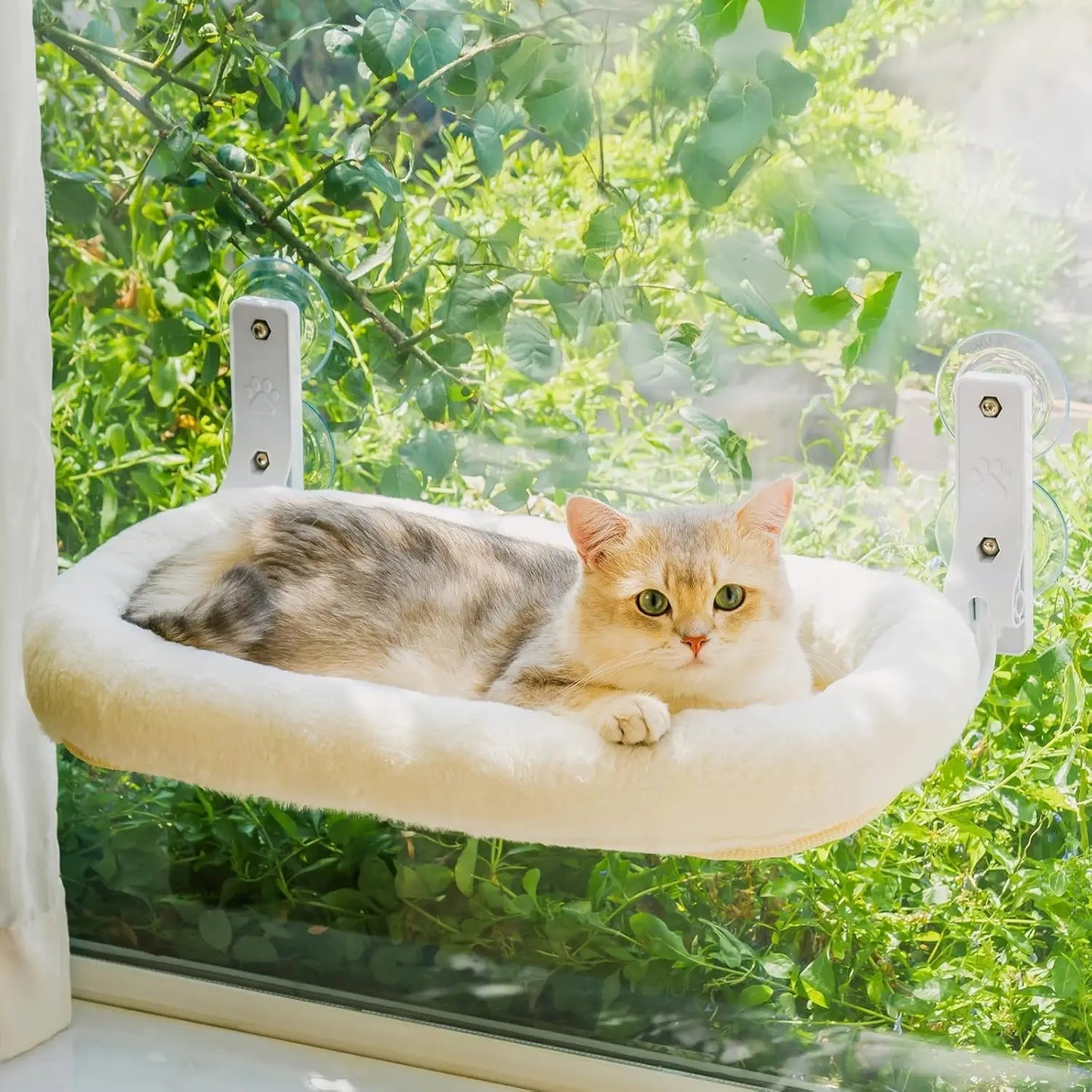 MEWOOFUN Foldable Cat Window Perch With Strong Suction Cups