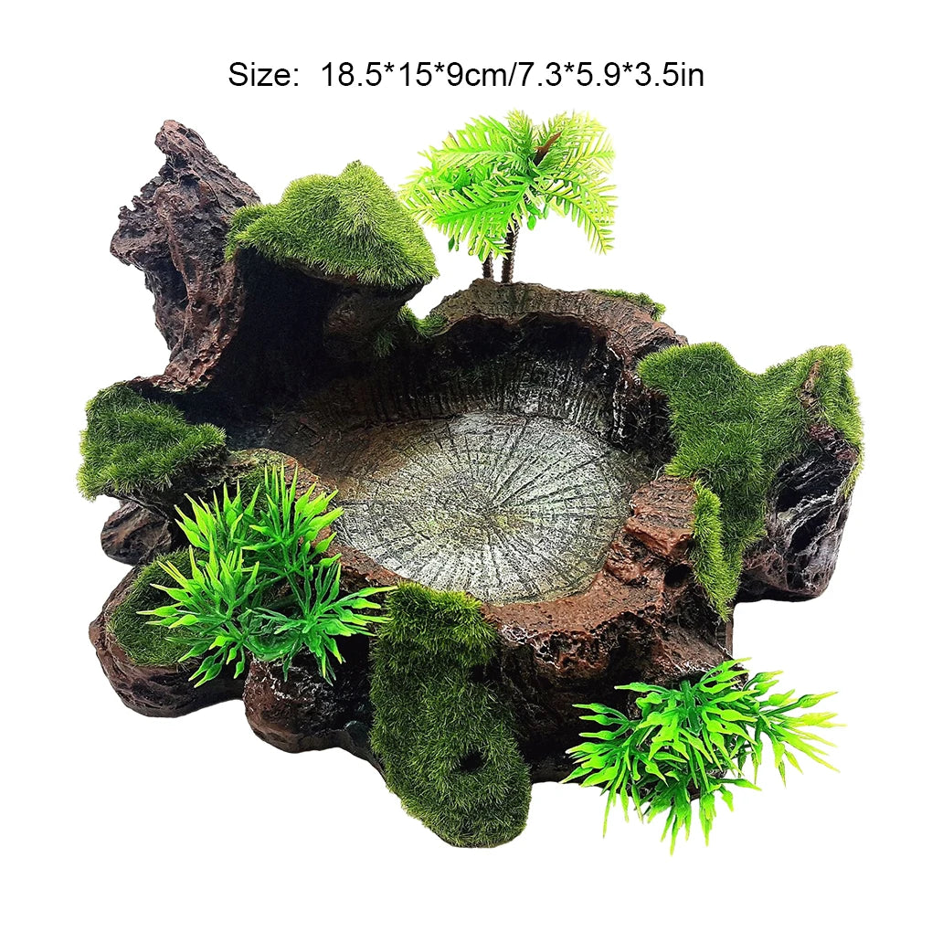 Hign-concerned Reptile Feeder Bowl Sturdy And Reliable Dish