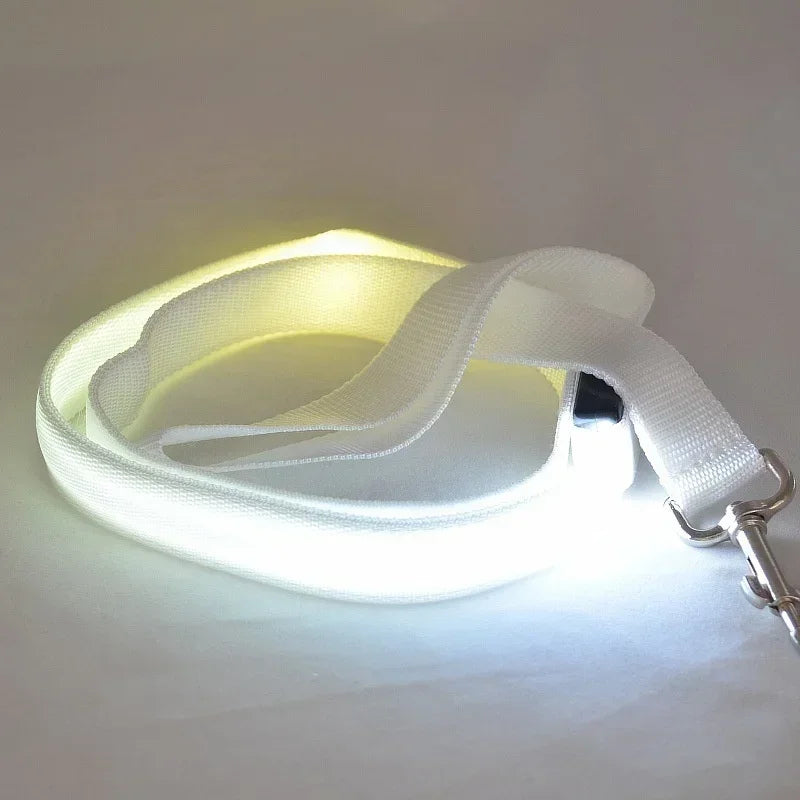 Luminous LED Dog Leash Rope Harness Collar for Safety and Visibility at Night