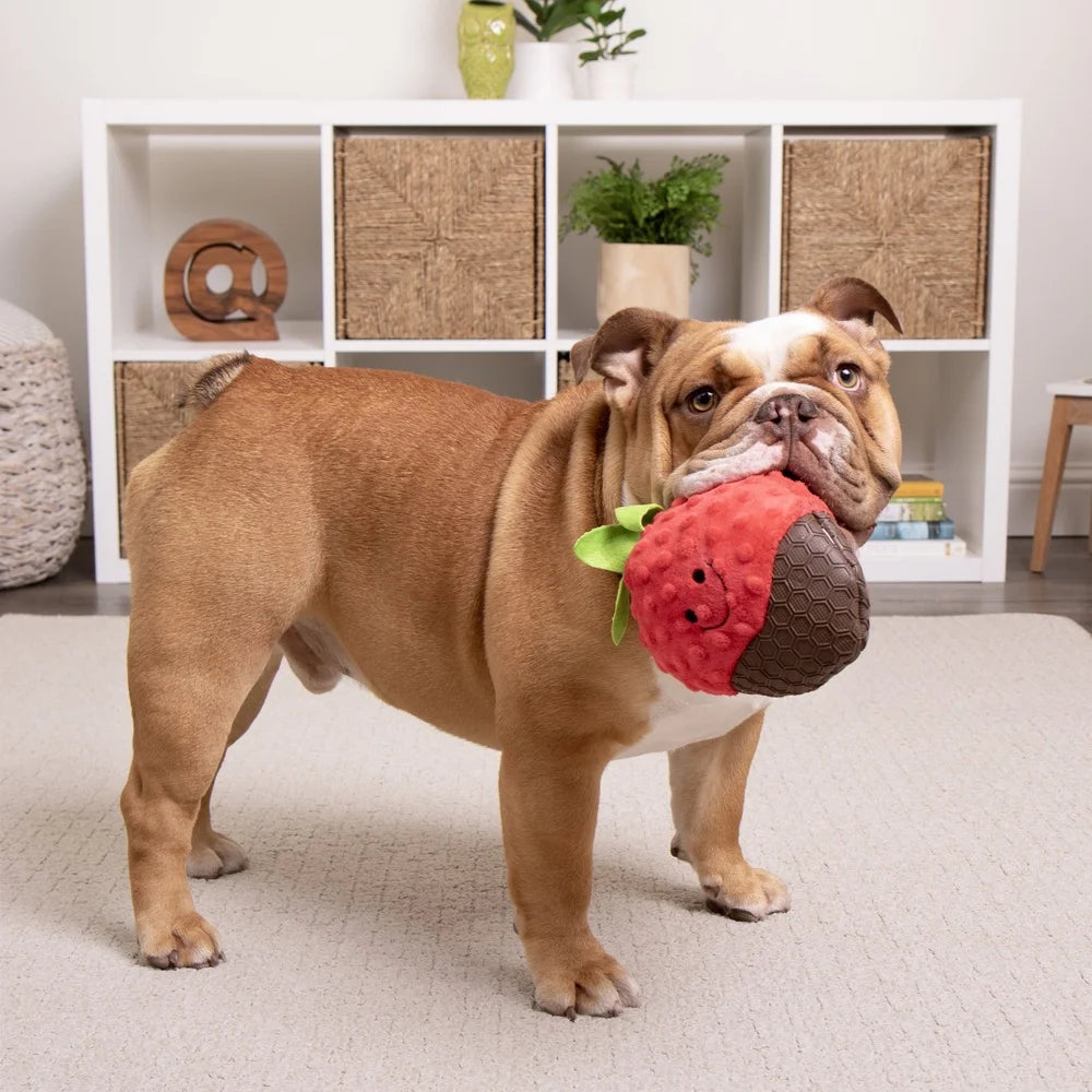 XMSJHign-concerned Chemical Durable Plush Dog Toy Squeaker