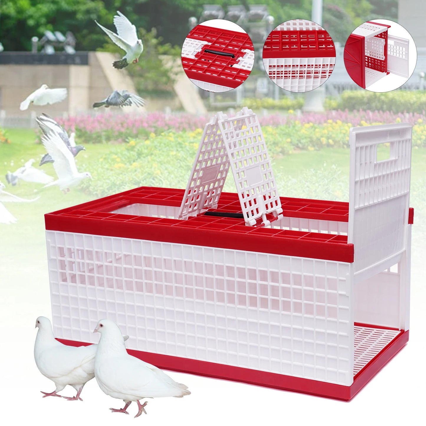 Foldable Pigeon Cage With Handle Plastic Carrier For Pigeons