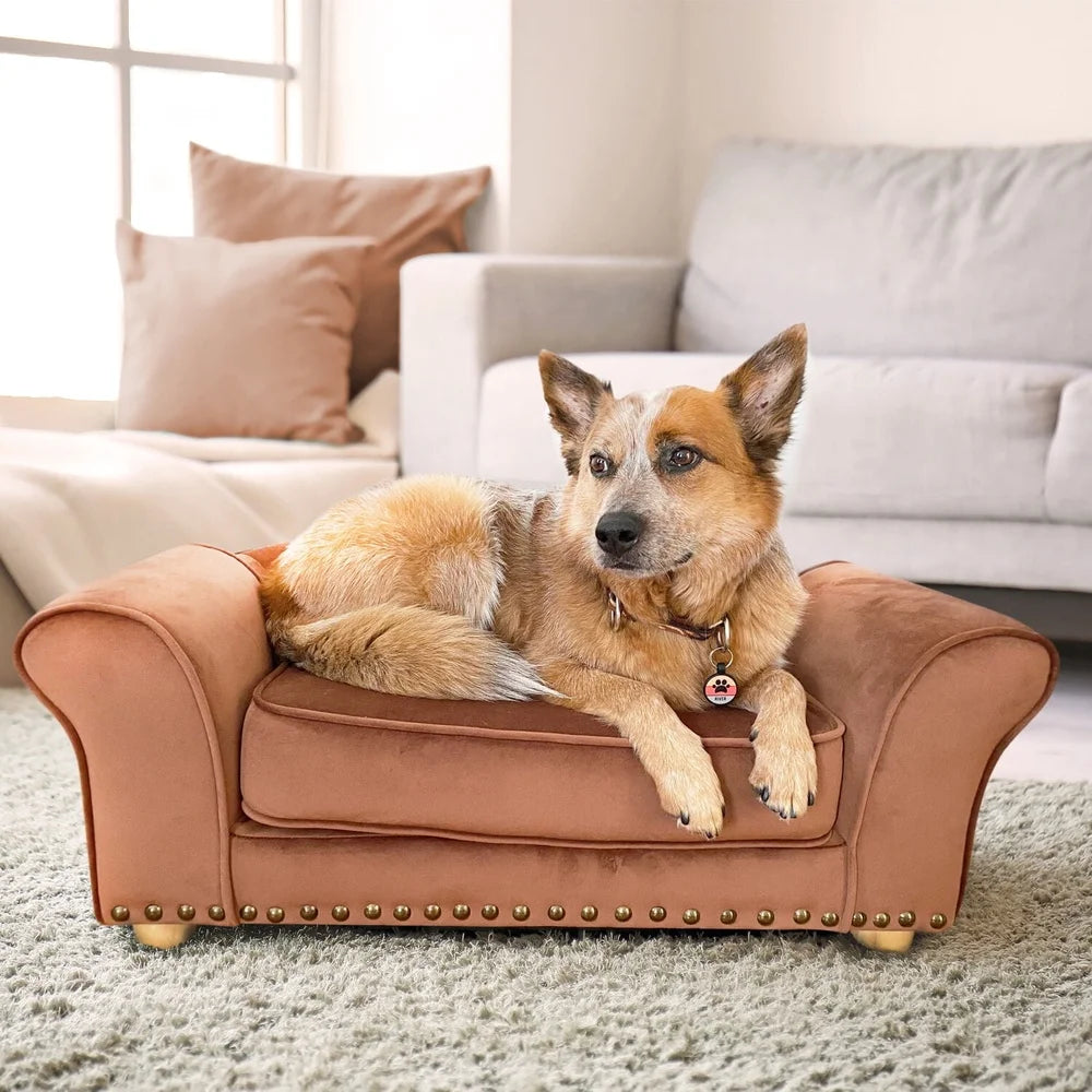 Elegant Faux Velvet Pet Bed Sofa for Medium Dogs and Cats with Removable Cushion