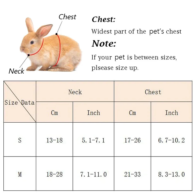 Walking Bunny Guinea Pig Harness Leash Set for Small Animals and Pets