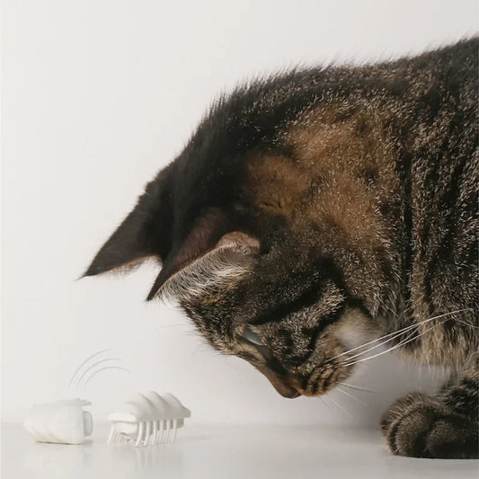 Electric Little Cloud Worm Cat Toy Interactive Battery Operated Fun for Cats
