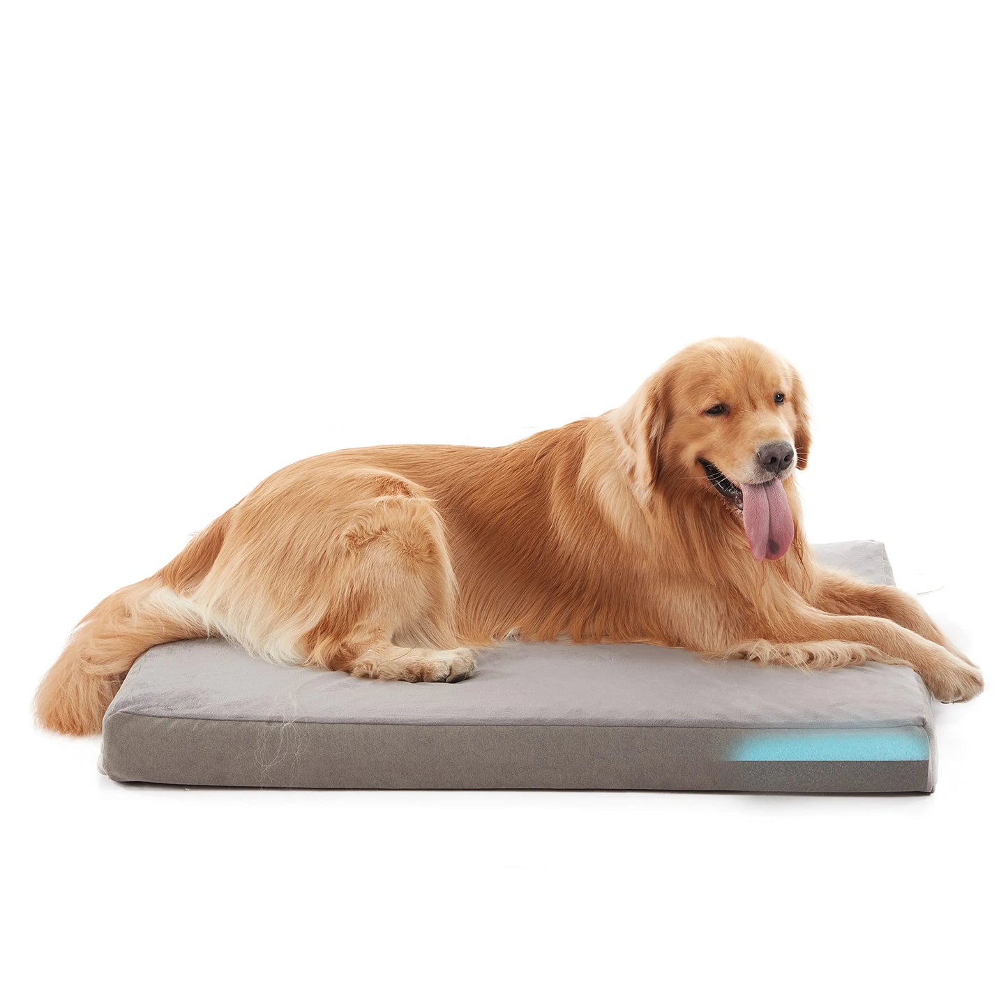 Orthopedic Waterproof Dog Bed with Removable Cover and Anti-Slip Bottom