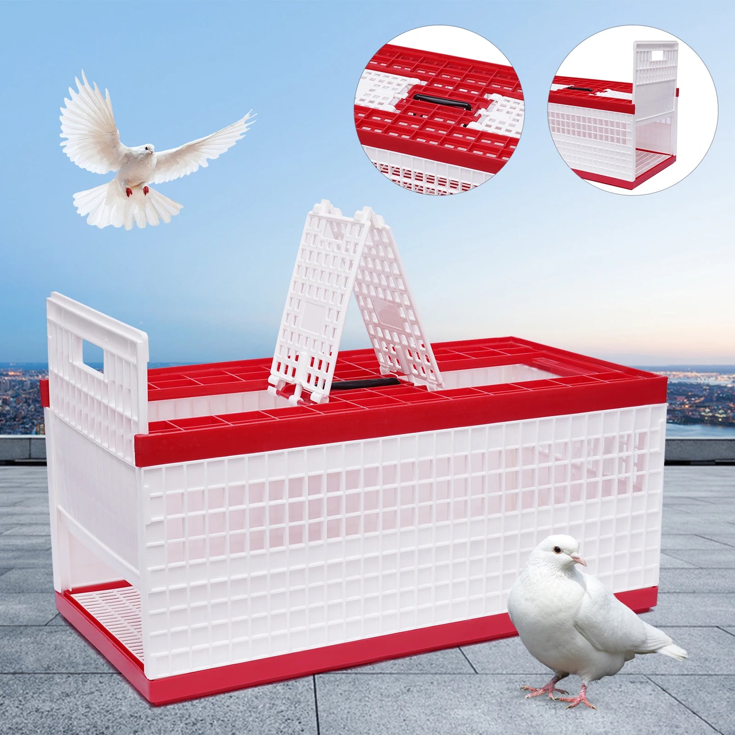 Foldable Pigeon Cage With Handle Plastic Carrier For Pigeons