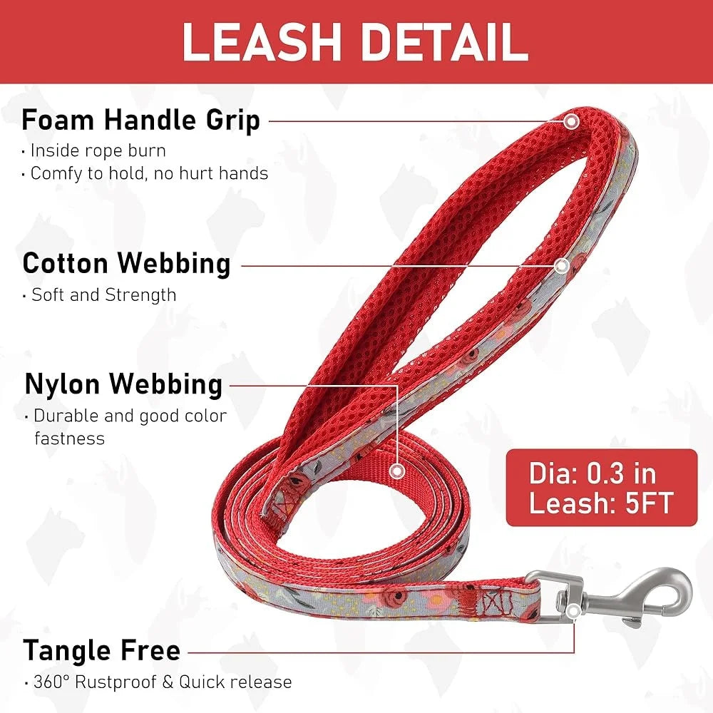 CN Fujian Adjustable Small Dog Harness Leash Set Reflective