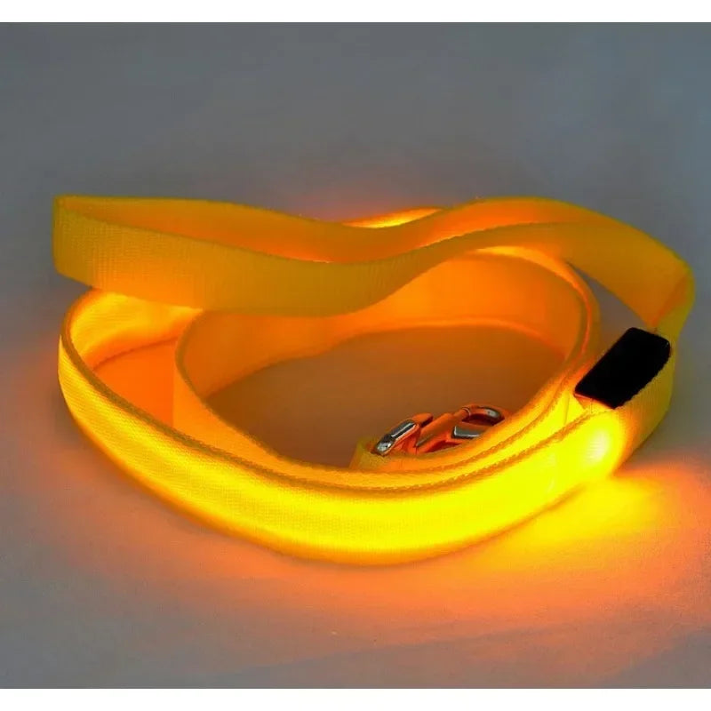 Luminous LED Dog Leash Rope Harness Collar for Safety and Visibility at Night