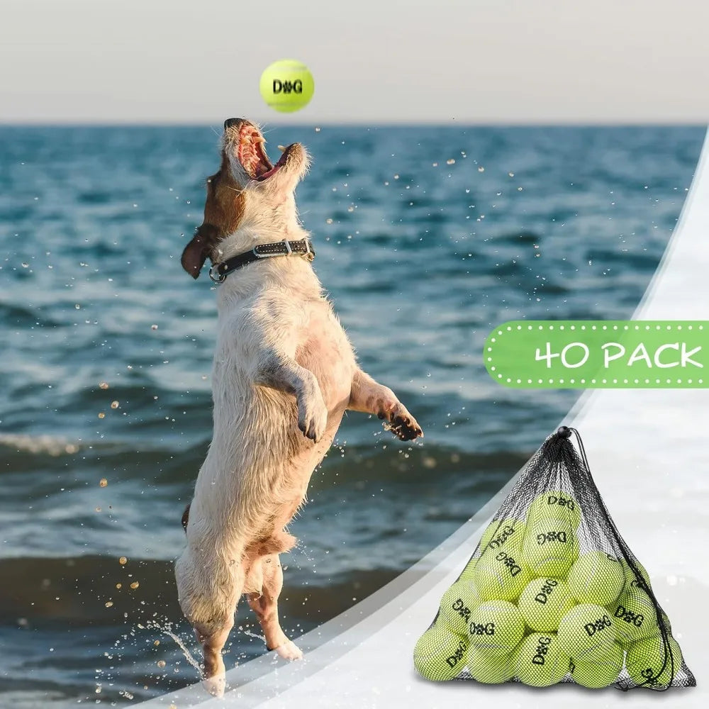 Dog Tennis Balls Bulk Pack With Carry Bags And Toys