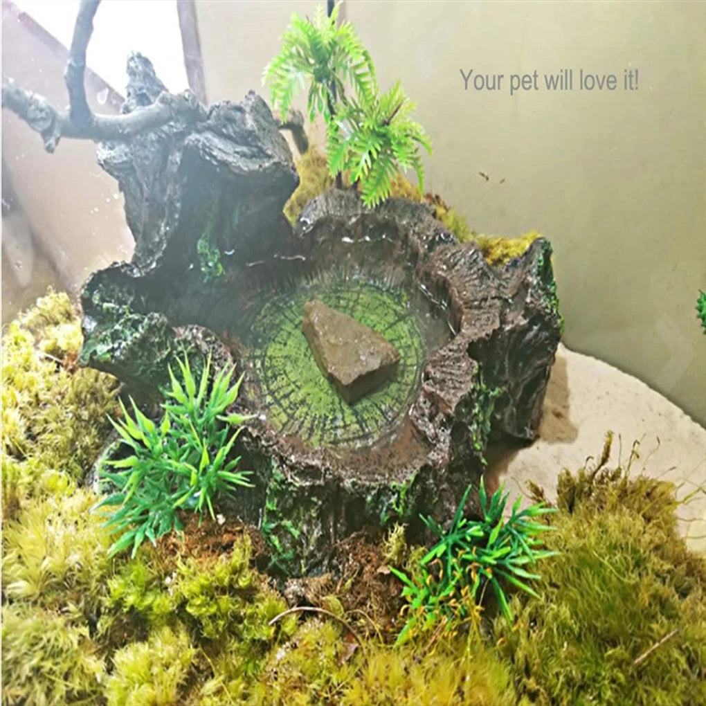 Hign-concerned Reptile Feeder Bowl Sturdy And Reliable Dish