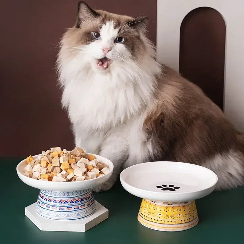 Hign Concerned Cat Ceramic Raised Feeding Bowl For Pets