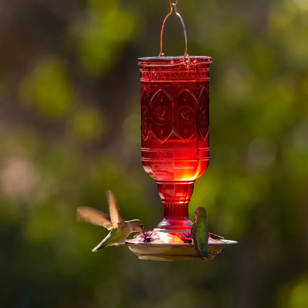 XMSJ Vintage Hummingbird Feeder Glass Bottle Copper Perch