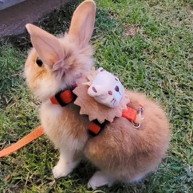 Walking Bunny Guinea Pig Harness Leash Set for Small Animals and Pets