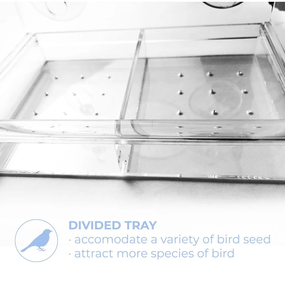 XMSJ Window Bird Feeder With Suction Cups And Clear Acrylic
