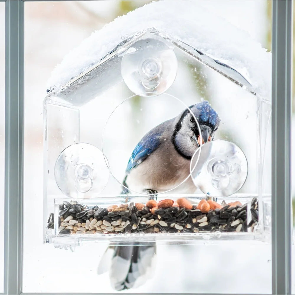 XMSJ Window Bird Feeder With Suction Cups And Clear Acrylic