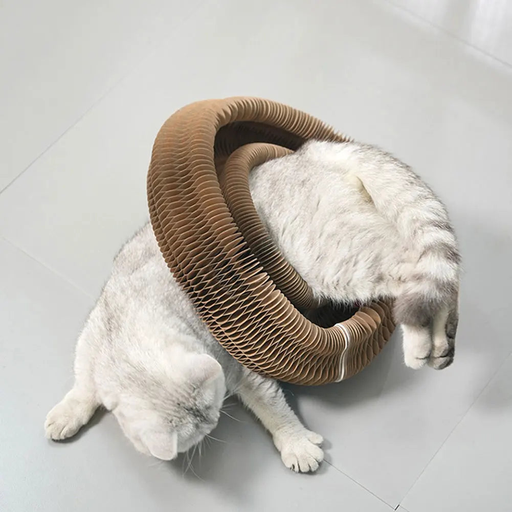 Magic Organ Foldable Round Cat Scratching Board Interactive Pet Toy