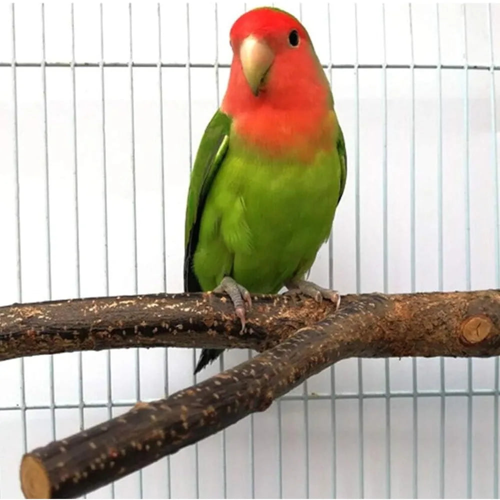 Natural Wood Bird Perch Toys 4 Pack Hanging Platform Swing