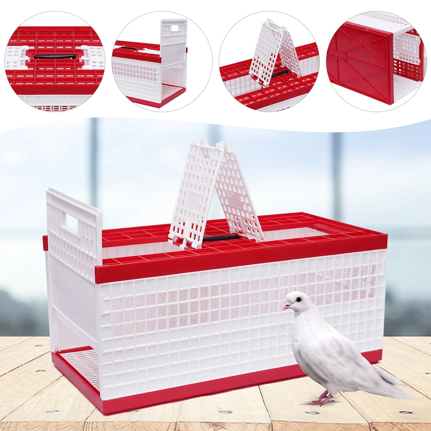 Foldable Pigeon Cage With Handle Plastic Carrier For Pigeons