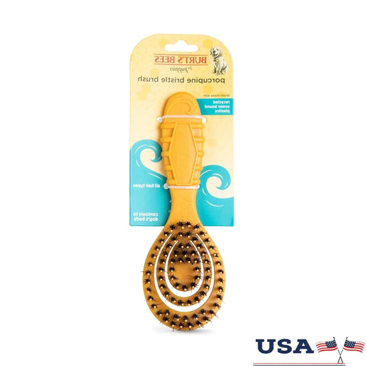 DUTRIEUX Porcupine Bristle Grooming Brush For Dogs Deluxe