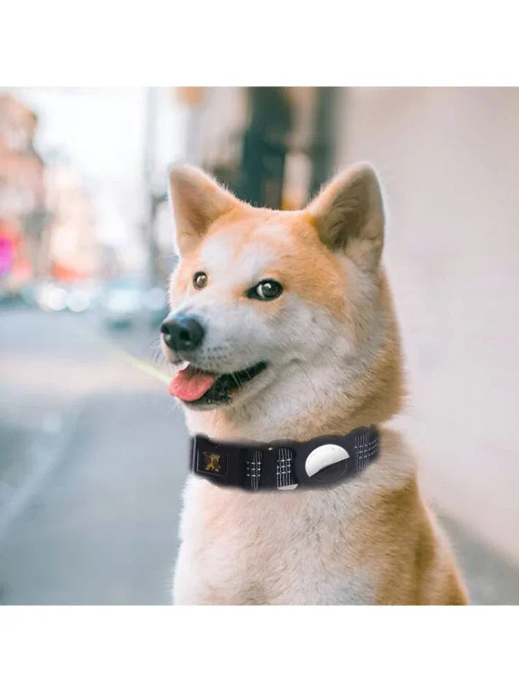 Guangdong Reflective AirTag Nylon Dog Collar With Case
