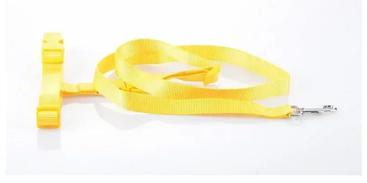 Adjustable Pet Lead Belt for Dogs and Cats Hands-Free Jogging Supplies
