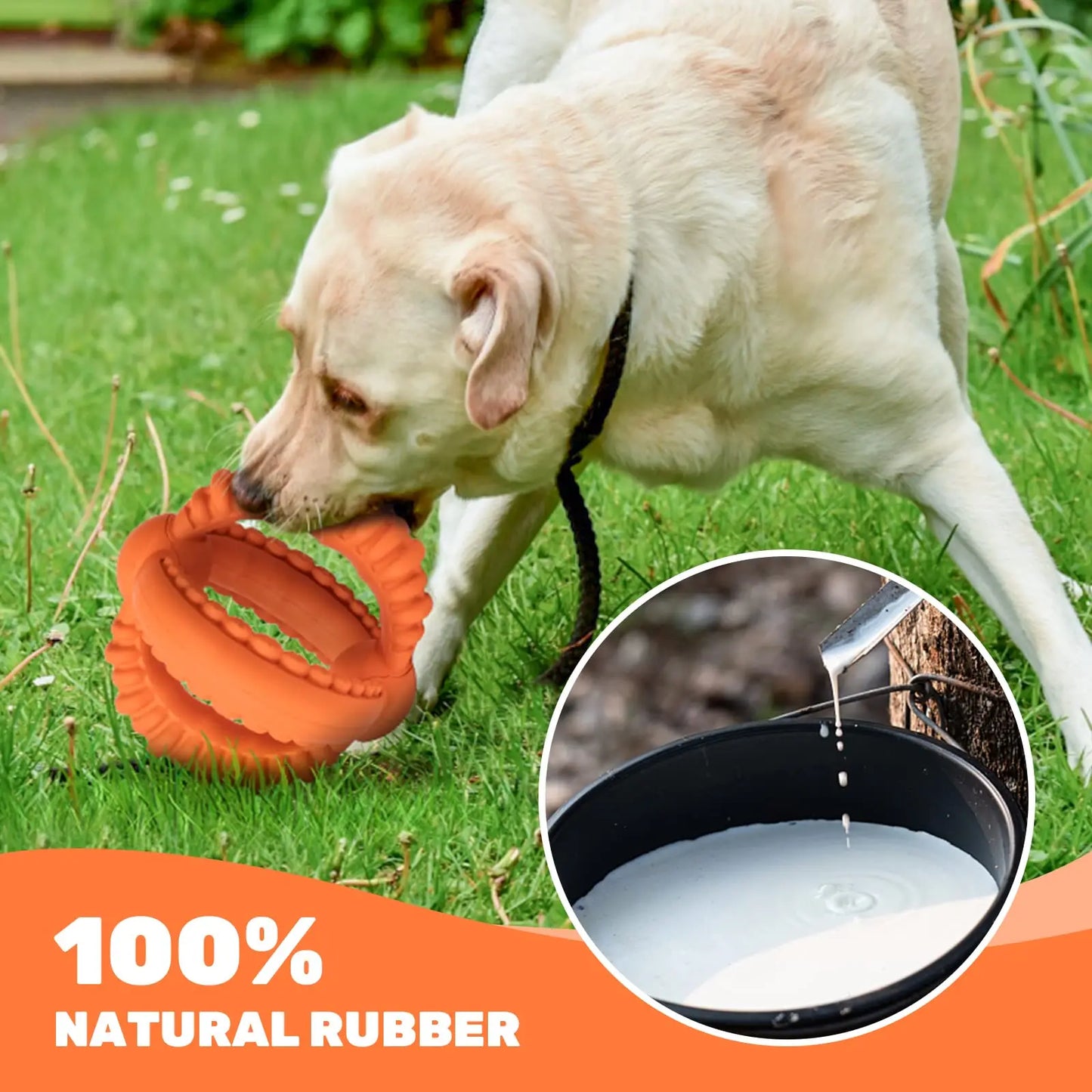 Interactive Dog Tug of War Toy with Detachable Rings for Large Dogs