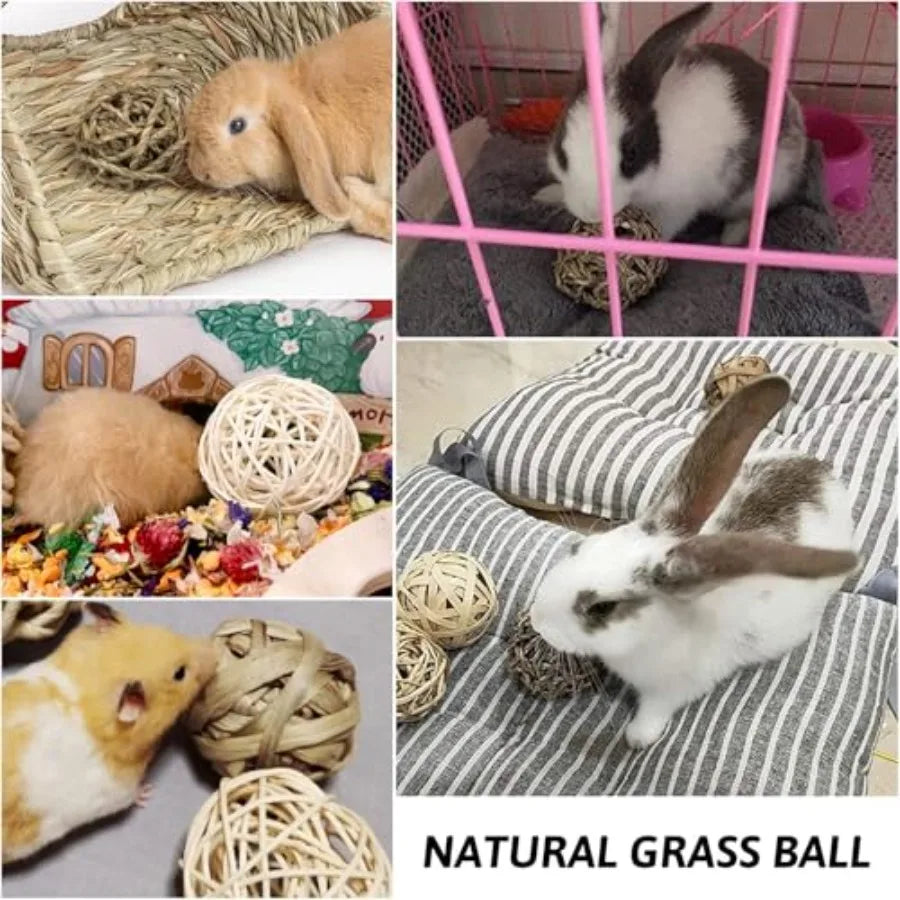 Gea Grass House For Small Pets Hideout With Chew Toys