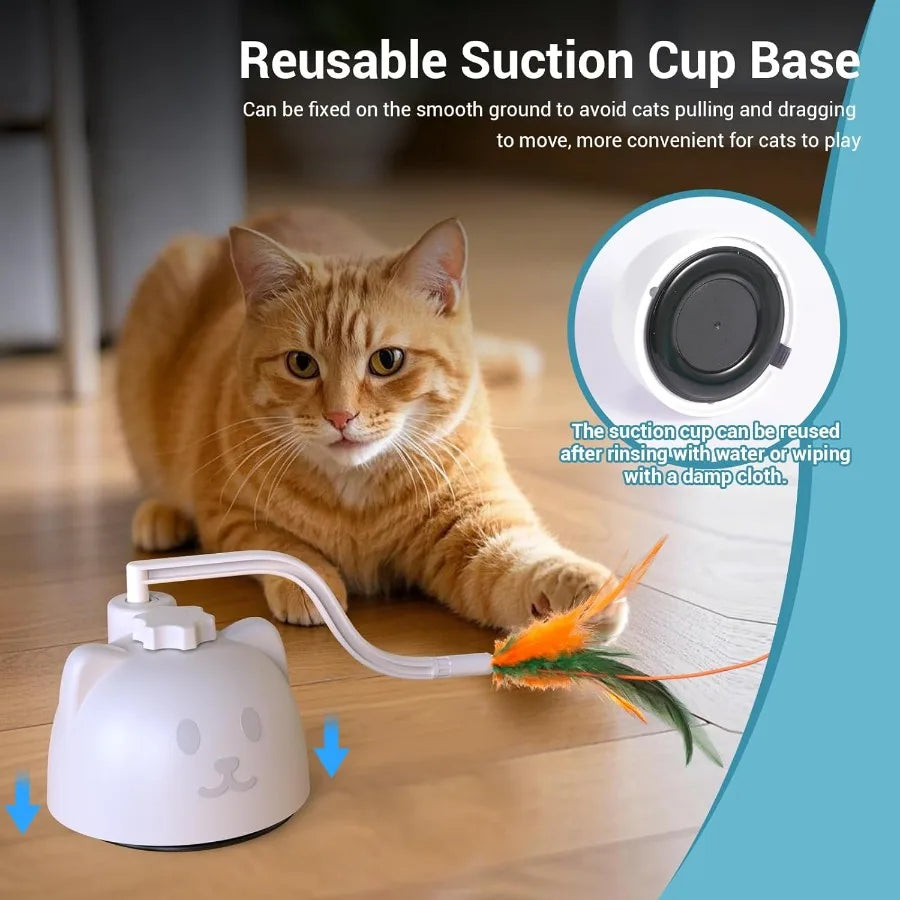 Guangdong CN Interactive Cat Toy 2in1 Hide Seek Feathers