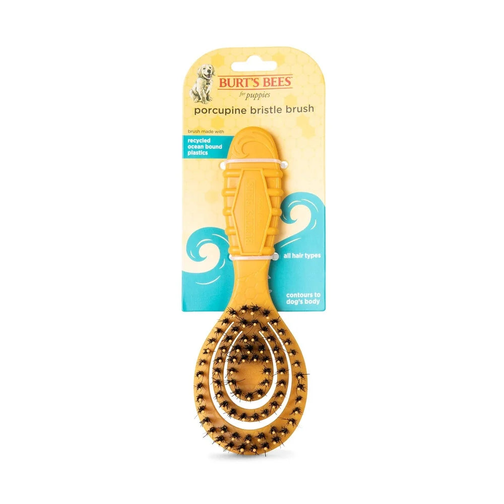 DUTRIEUX Porcupine Bristle Grooming Brush For Dogs Deluxe