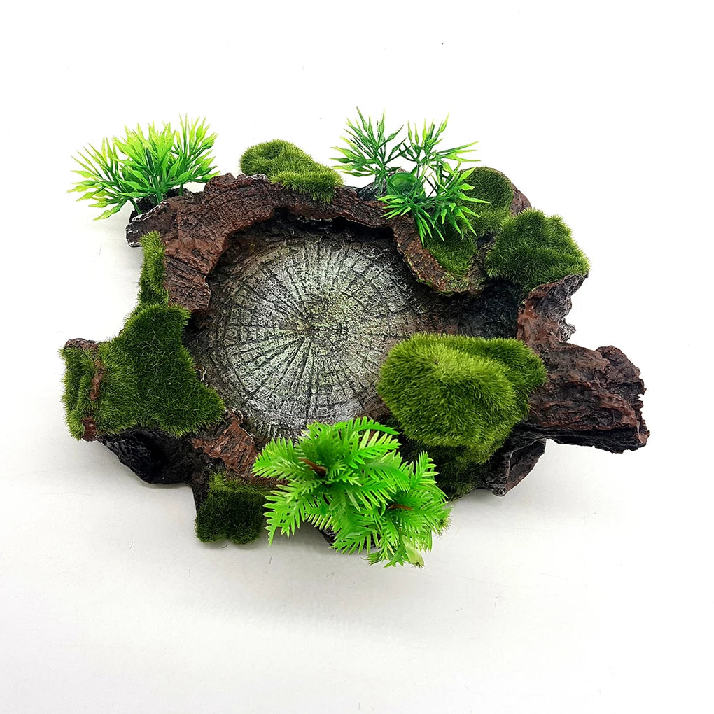 Hign-concerned Reptile Feeder Bowl Sturdy And Reliable Dish