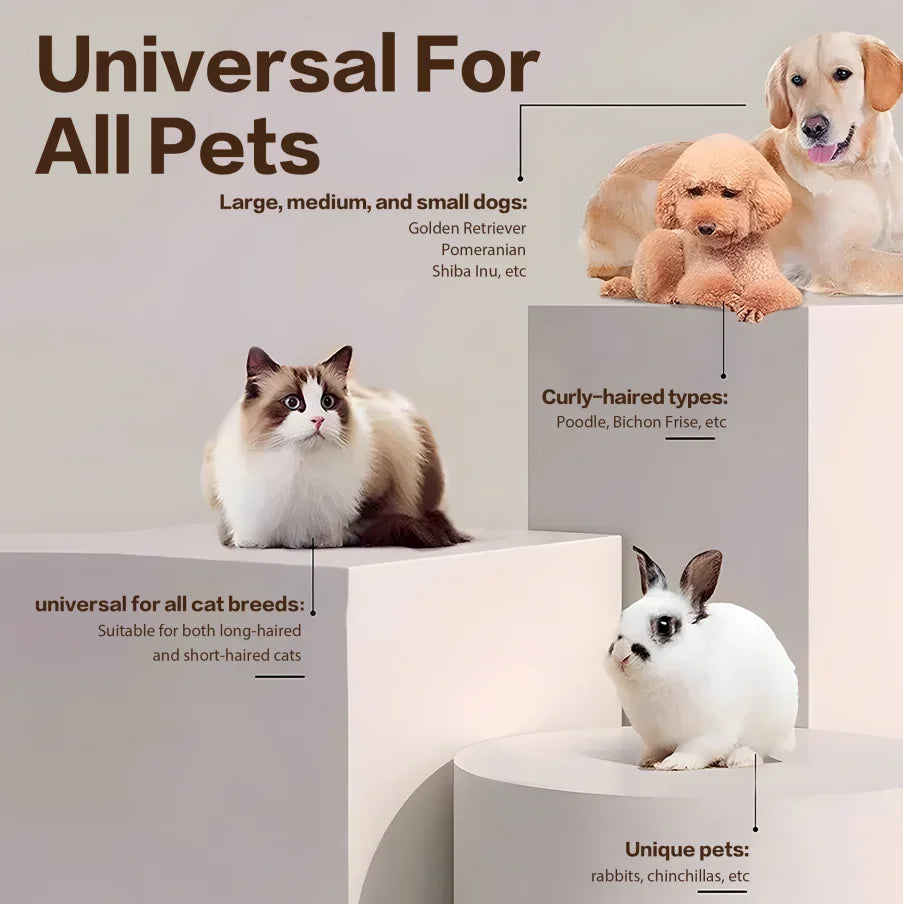 2025 New Rechargeable Pet Paw Trimmer Professional Grooming Kit for Dogs
