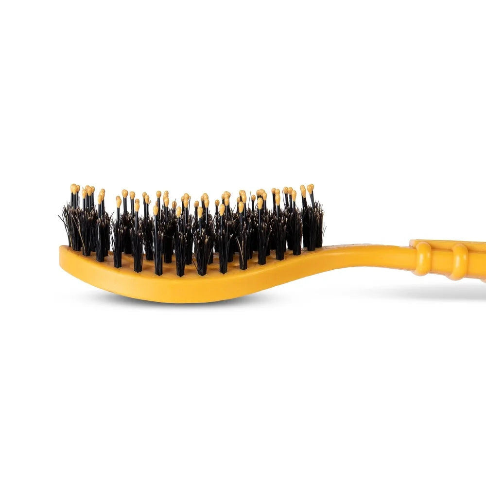 DUTRIEUX Porcupine Bristle Grooming Brush For Dogs Deluxe