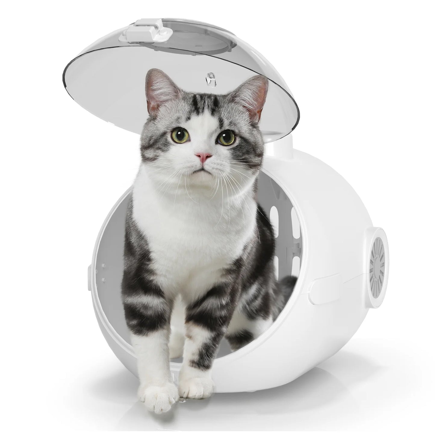 Breed Cat Handbag With Fan Breathable Carrier For Travel
