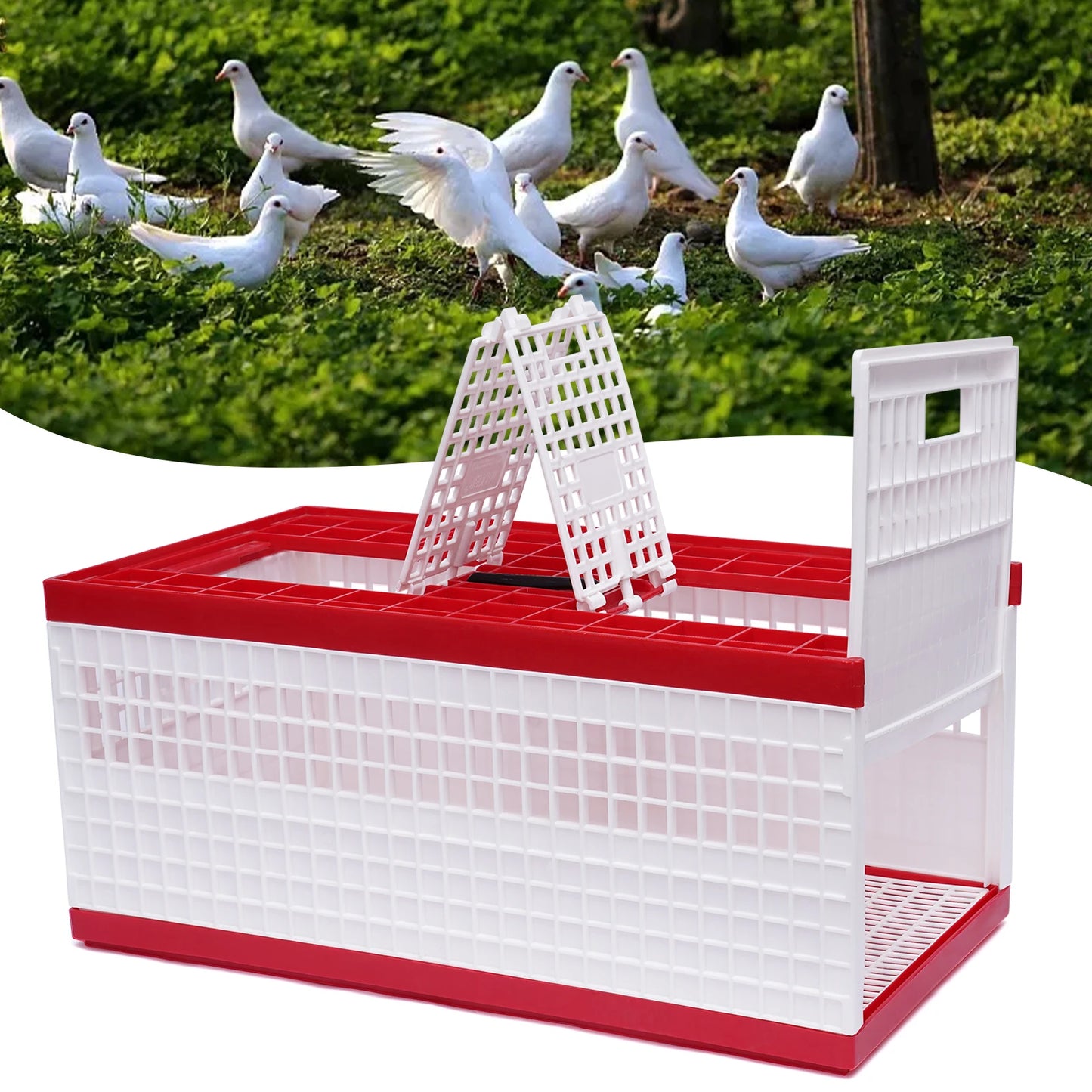 Foldable Pigeon Cage With Handle Plastic Carrier For Pigeons