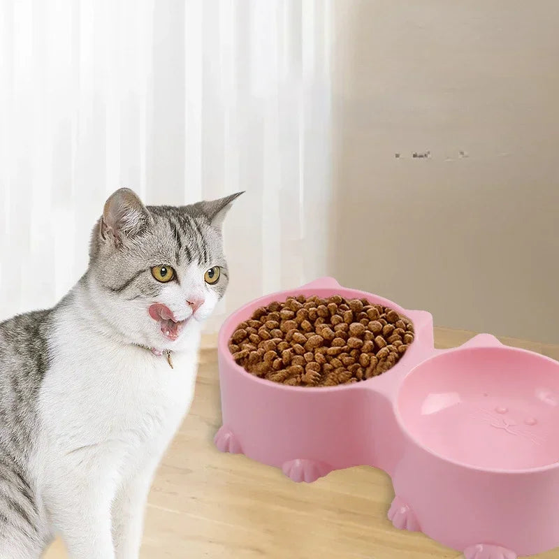 Tilted Raised Cat Food Bowls Elevated Feeding Set for Healthy Mealtime