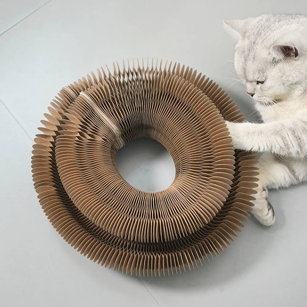 Magic Organ Foldable Round Cat Scratching Board Interactive Pet Toy