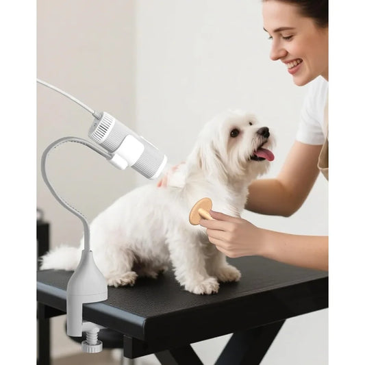 2In1 Hands Free Dog Hair Dryer With Table Clamp Pro