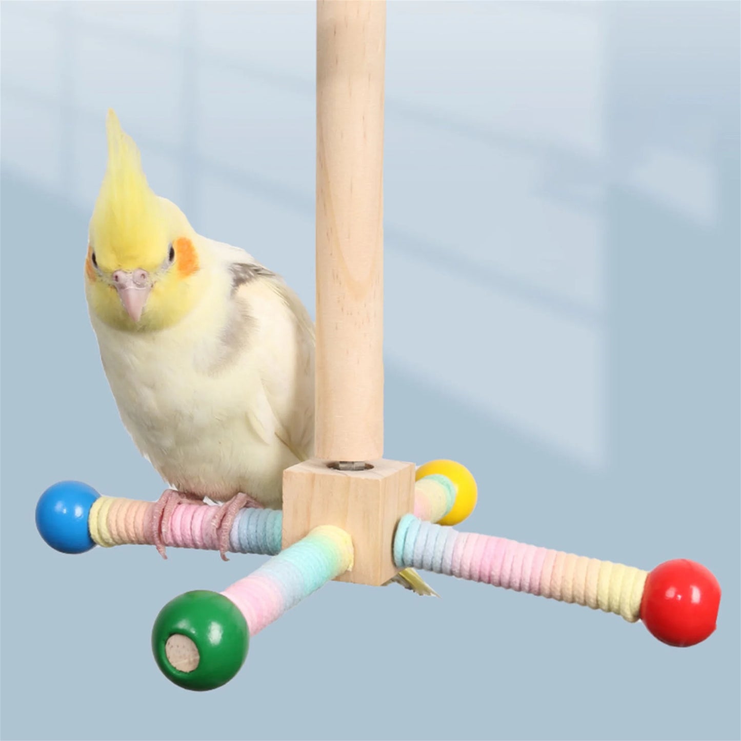 Wooden Parrot Climbing Ladder Swing Toy With Bells