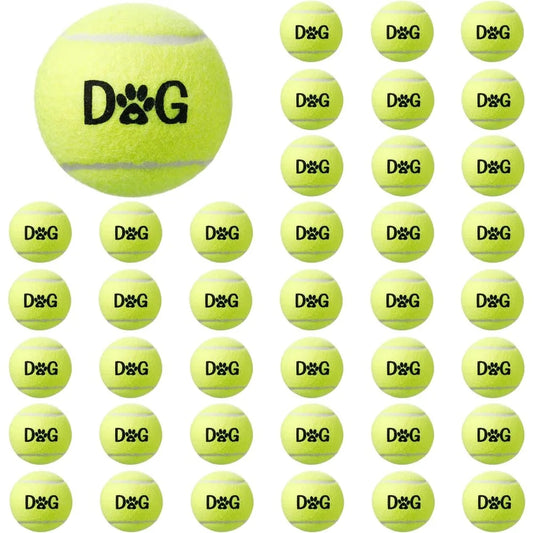 Dog Tennis Balls Bulk Pack With Carry Bags And Toys