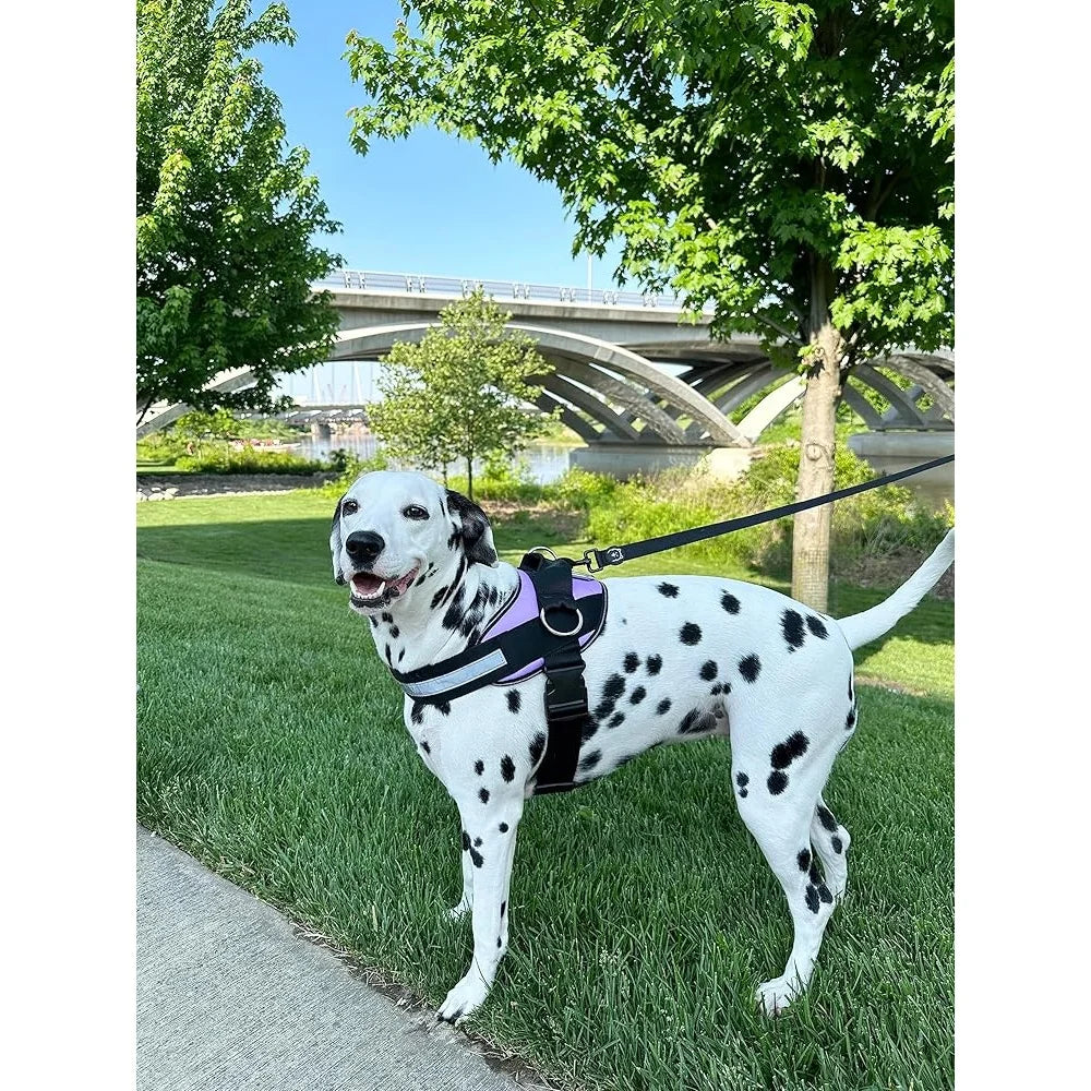 CN Fujian No Pull Dog Harness Reflective Adjustable Vest