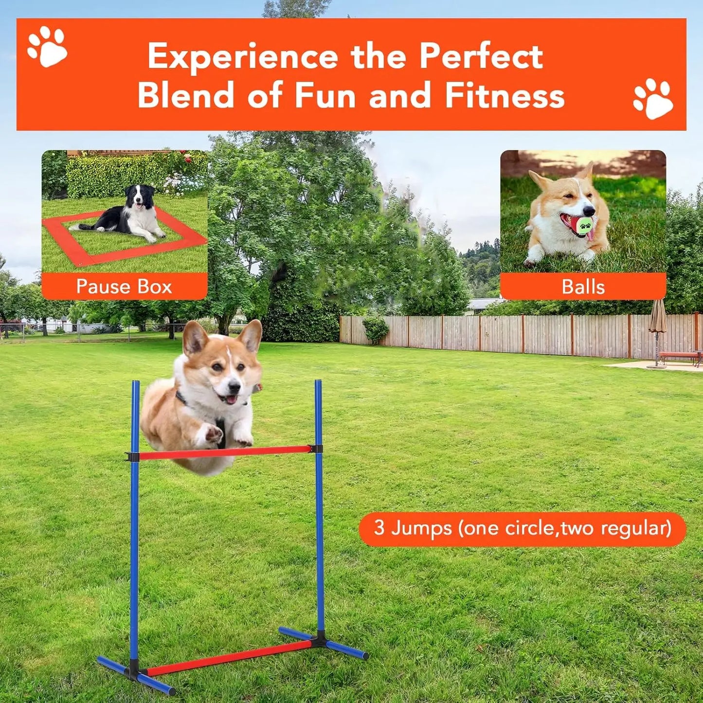 87 Piece Dog Agility Training Equipment Set with Tunnel Jump and Weave Poles