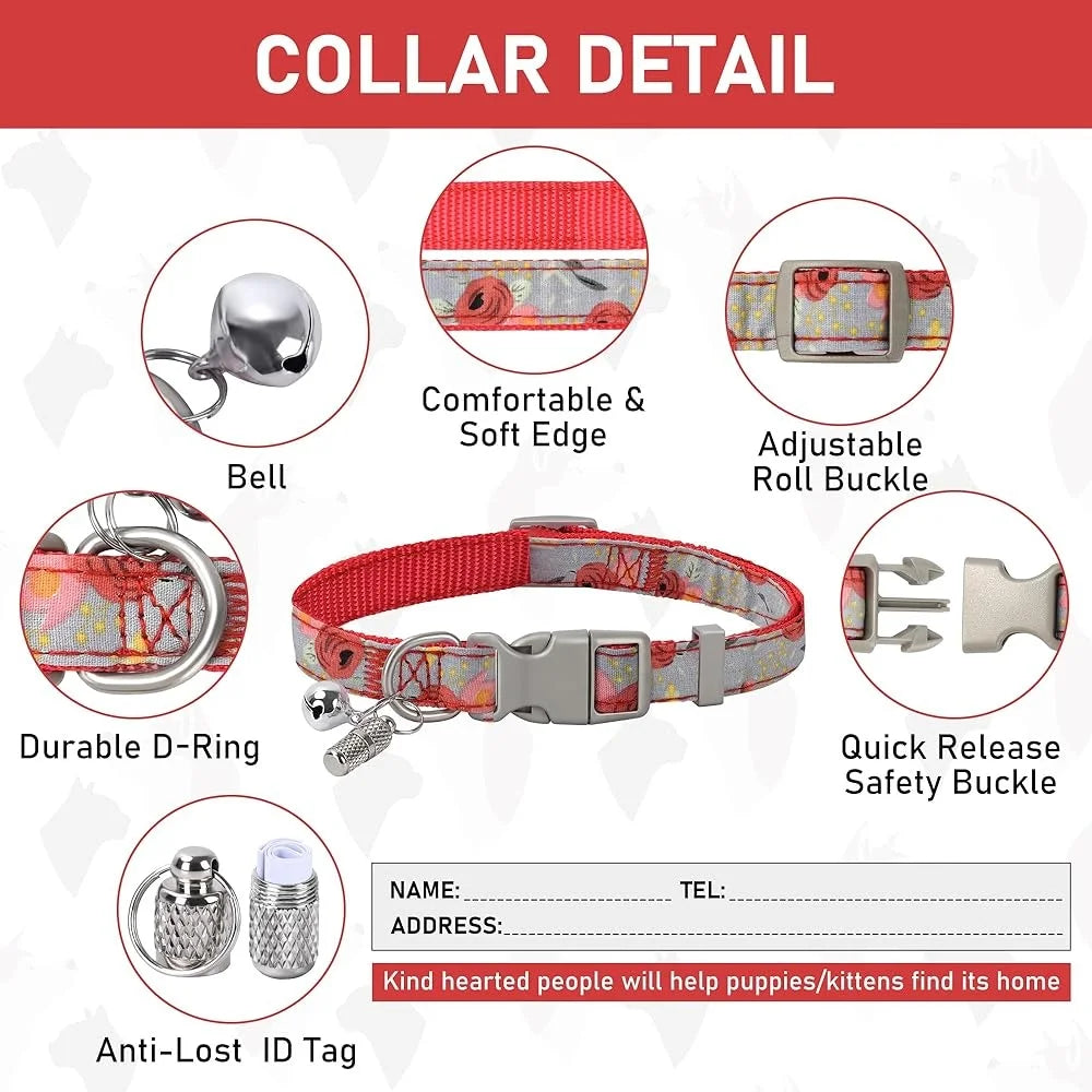 CN Fujian Adjustable Small Dog Harness Leash Set Reflective