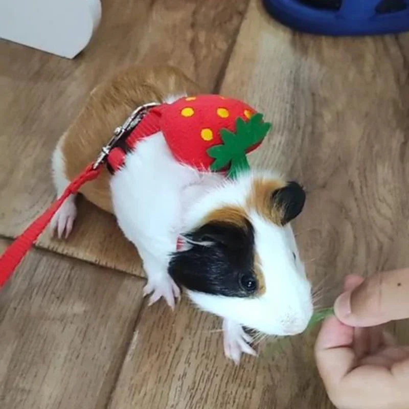 Walking Bunny Guinea Pig Harness Leash Set for Small Animals and Pets