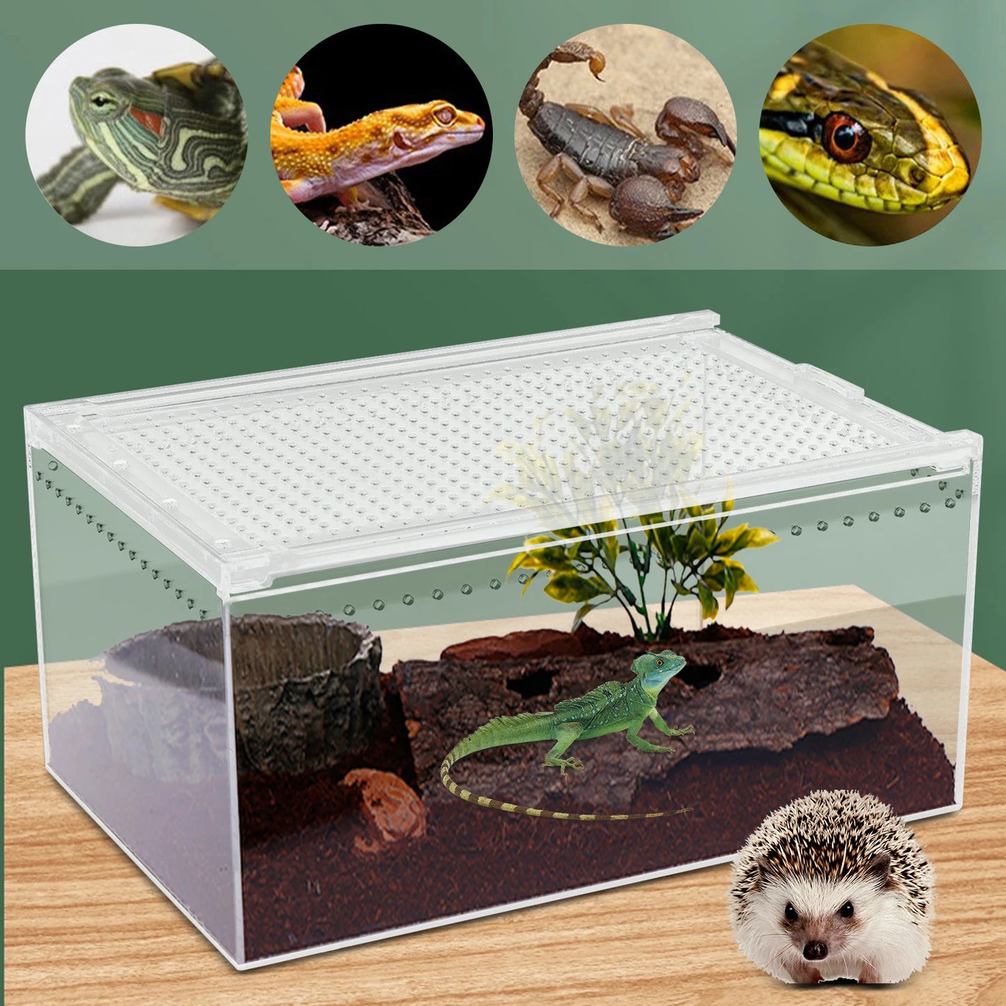 Bymaocar Acrylic Reptile Breeding Cage With Sliding Lid