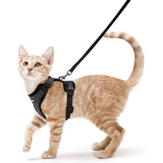 Escape Proof Cat Harness and Leash Soft Adjustable Breathable Vest for Outdoor Use