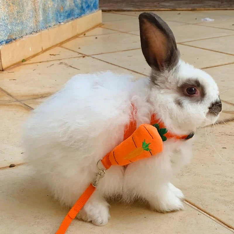 Walking Bunny Guinea Pig Harness Leash Set for Small Animals and Pets