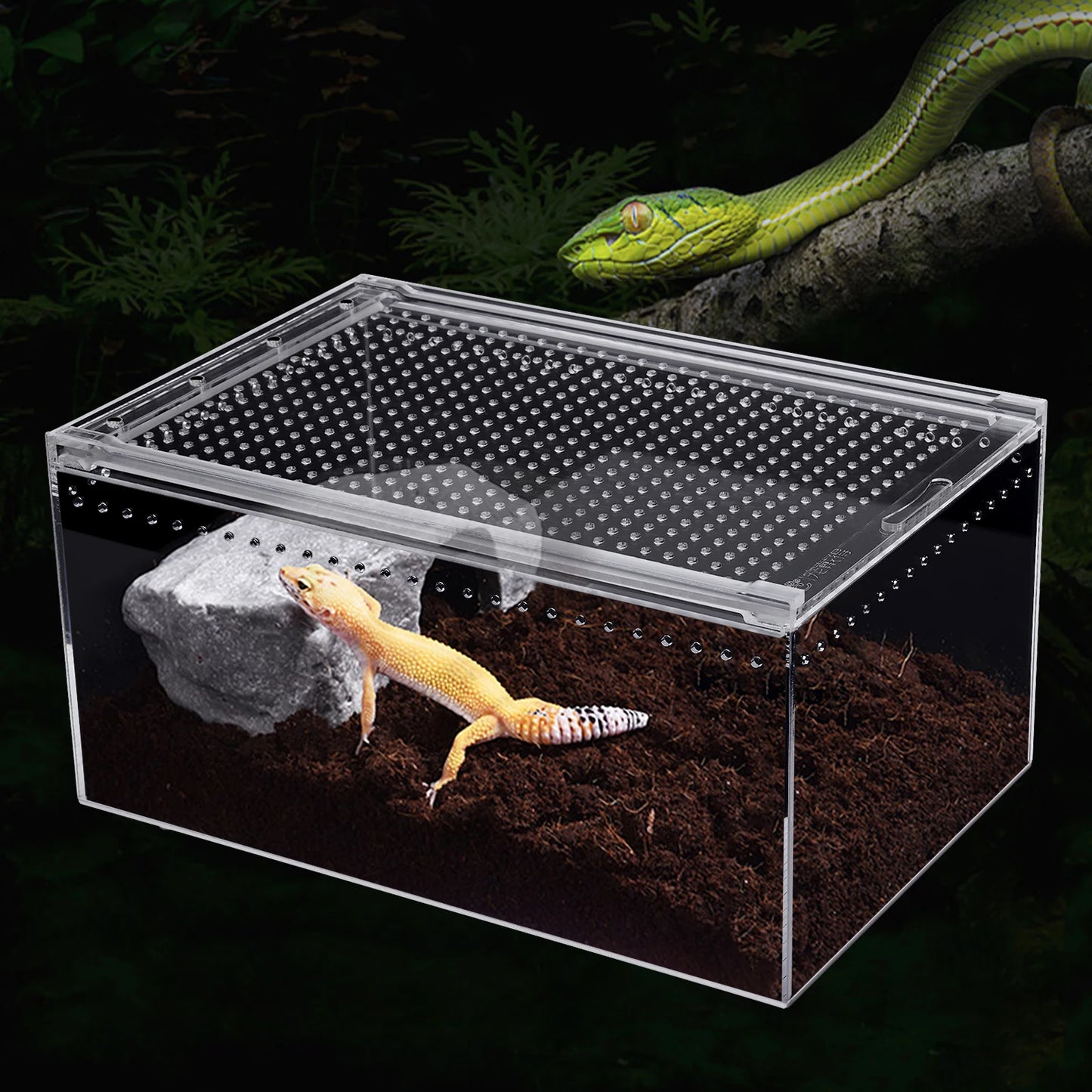 Bymaocar Acrylic Reptile Breeding Cage With Sliding Lid