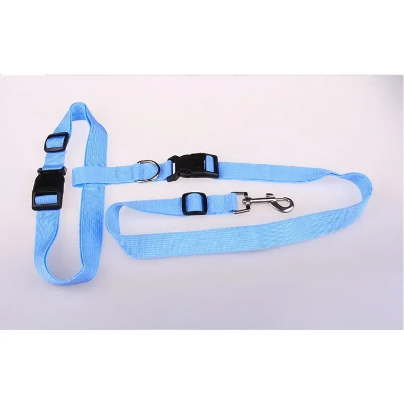 Adjustable Pet Lead Belt for Dogs and Cats Hands-Free Jogging Supplies
