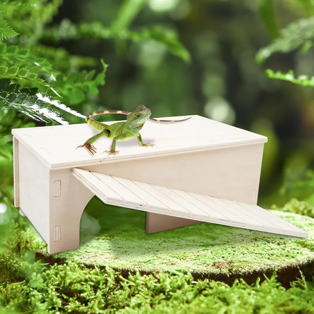 Hign-concerned Reptile Habitat With Basking Platform