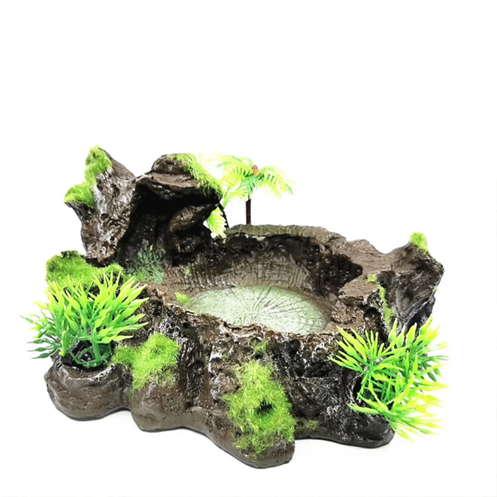 Hign-concerned Reptile Feeder Bowl Sturdy And Reliable Dish